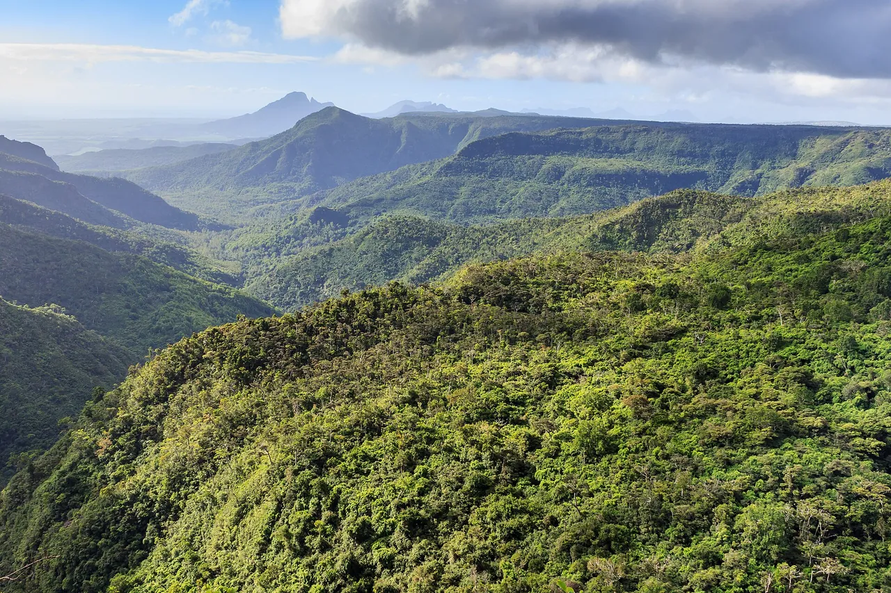 Panoramiese uitsig oor die beboste berge van Black River Gorges Nasionale Park in Mauritius